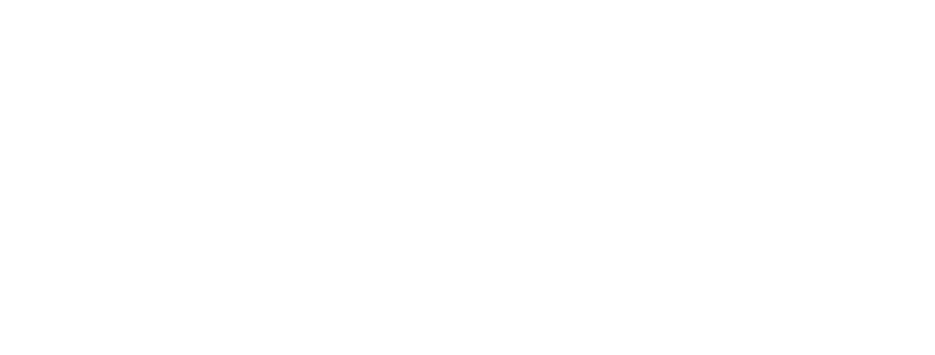 Panther Premium Logistics Logo